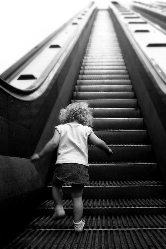  Other Wooden Escalators 